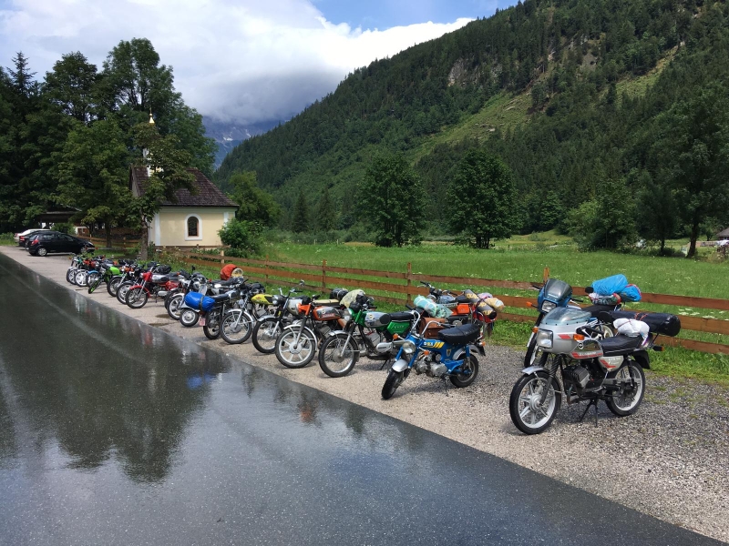 glockner2019__0081